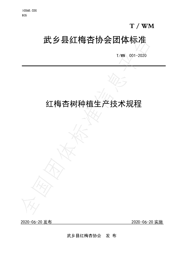 T/WM 001-2020 标准预览