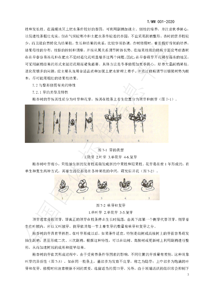 T/WM 001-2020 标准预览