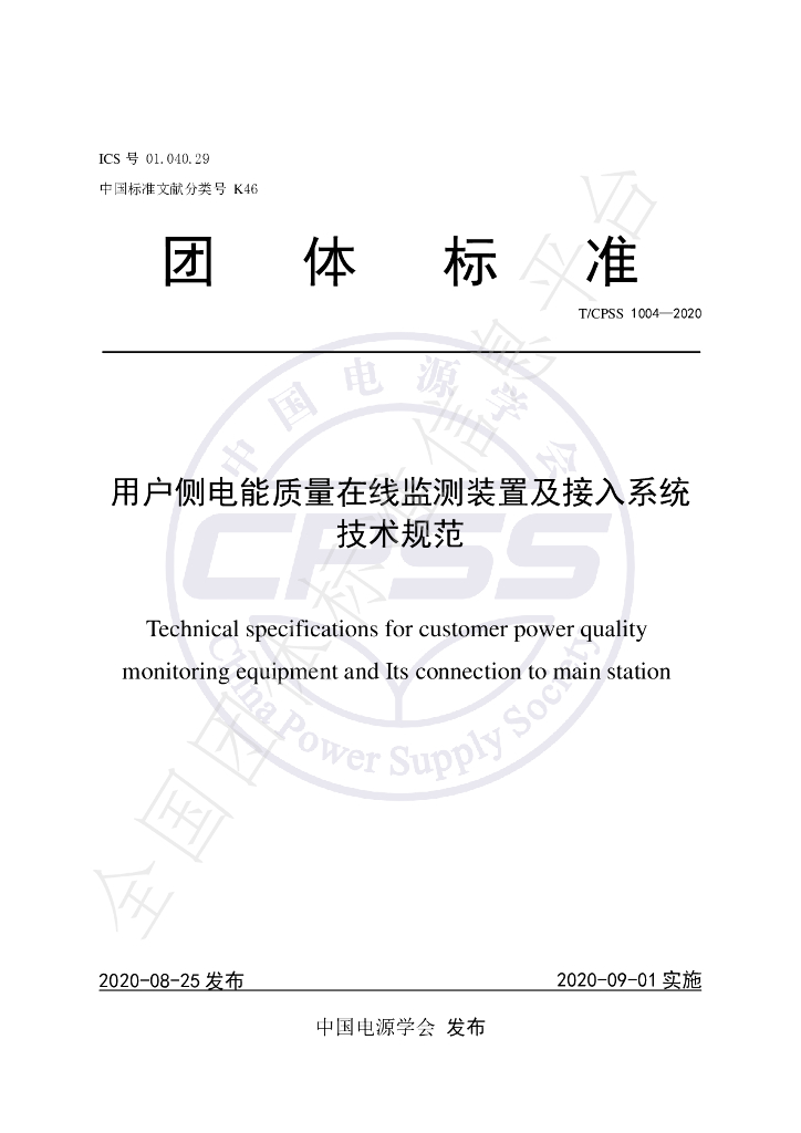 T/CPSS 1004-2020 标准预览