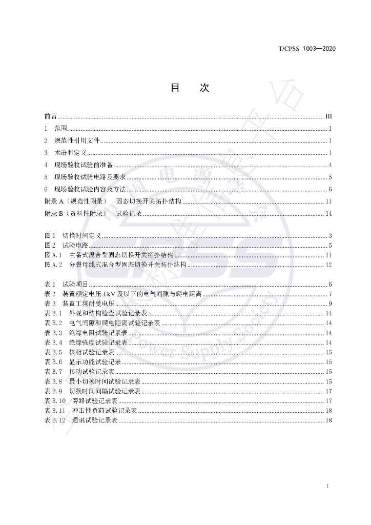 T/CPSS 1003-2020 标准预览