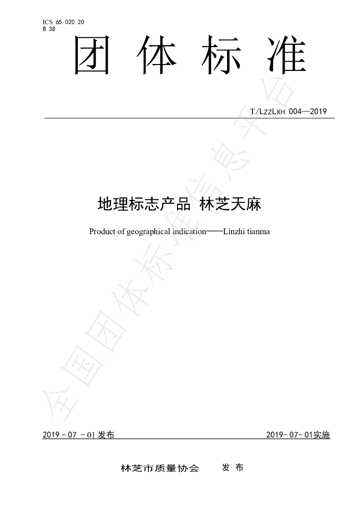 T/LZZLXH 004-2019 标准预览
