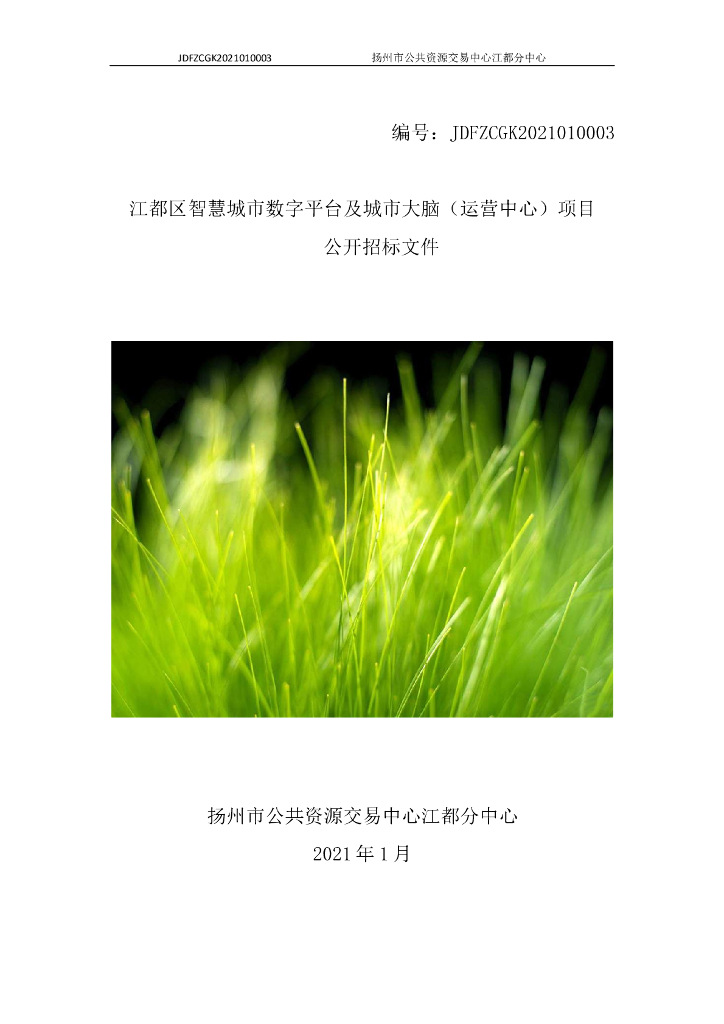 江都区智慧城市数字平台及城市大脑（运营中心）建设项目