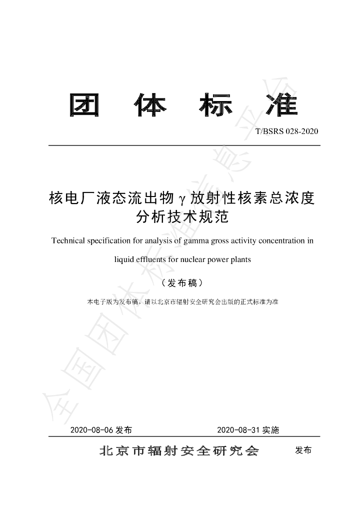 T/BSRS 028-2020 标准预览