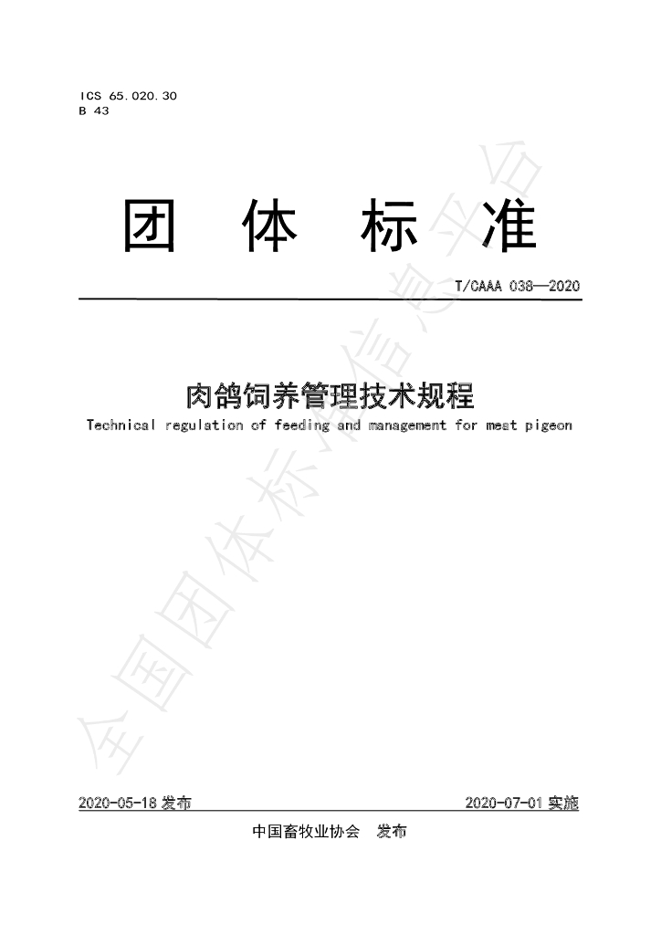 T/CAAA 038-2020 标准预览