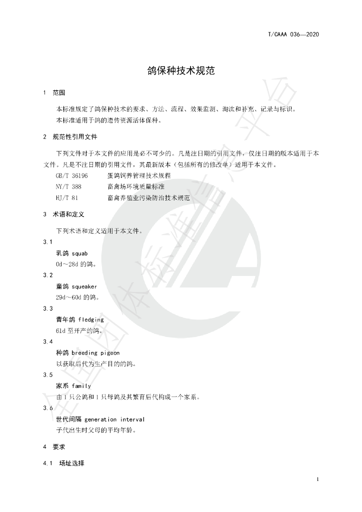 T/CAAA 036-2020 标准预览