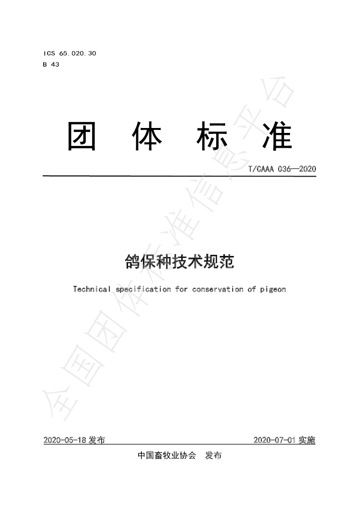 T/CAAA 036-2020 标准预览