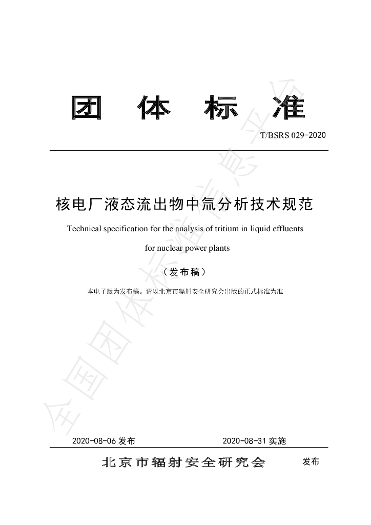 T/BSRS 029-2020 标准预览