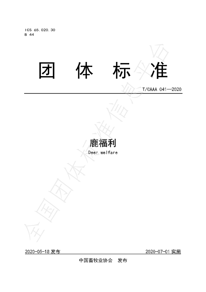 T/CAAA 041-2020 标准预览