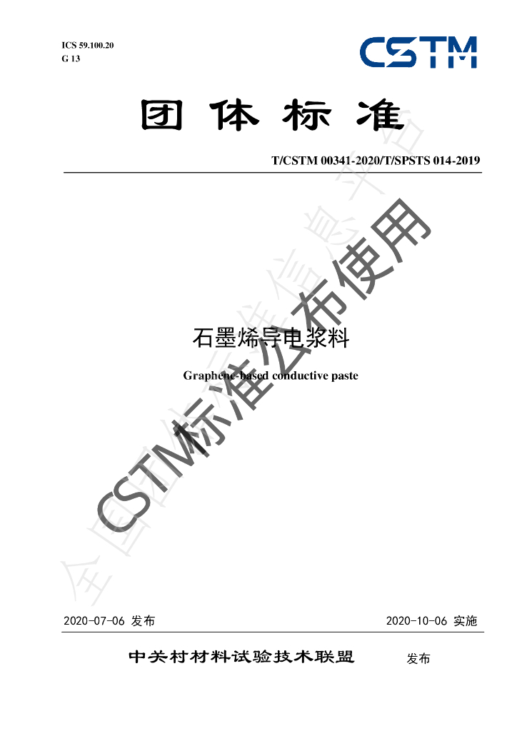 T/CSTM 00341-2020 标准预览