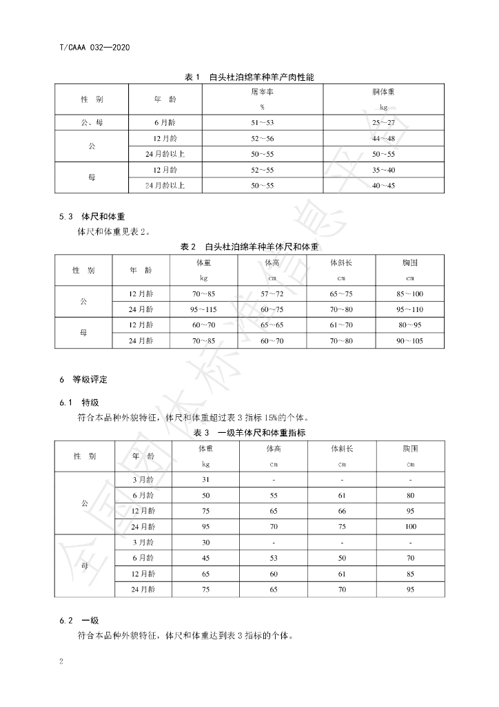 T/CAAA 032-2020 标准预览