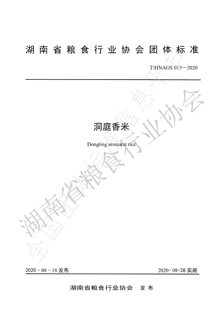 T/HNAGS 13-2020 标准预览