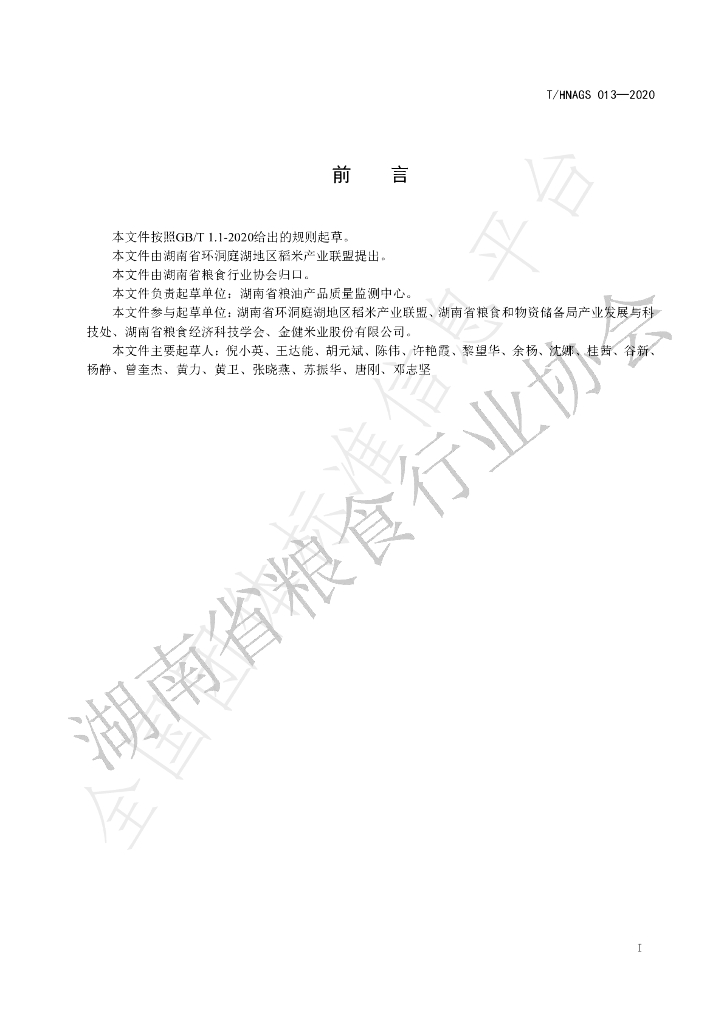 T/HNAGS 13-2020 标准预览