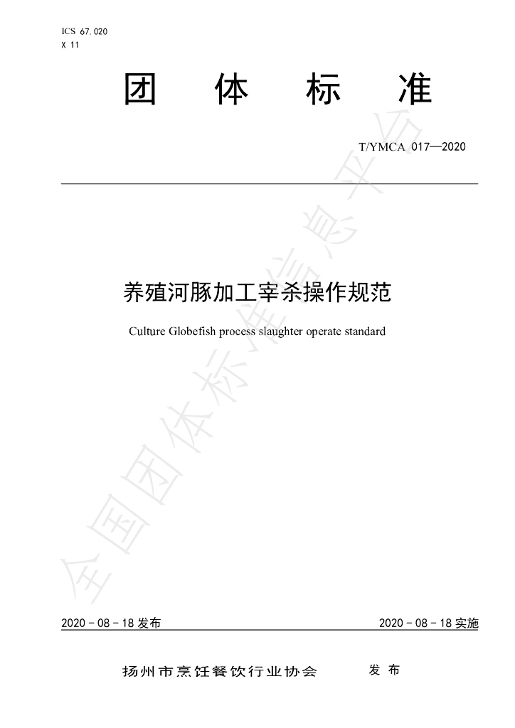 T/YMCA 017-2020 标准预览