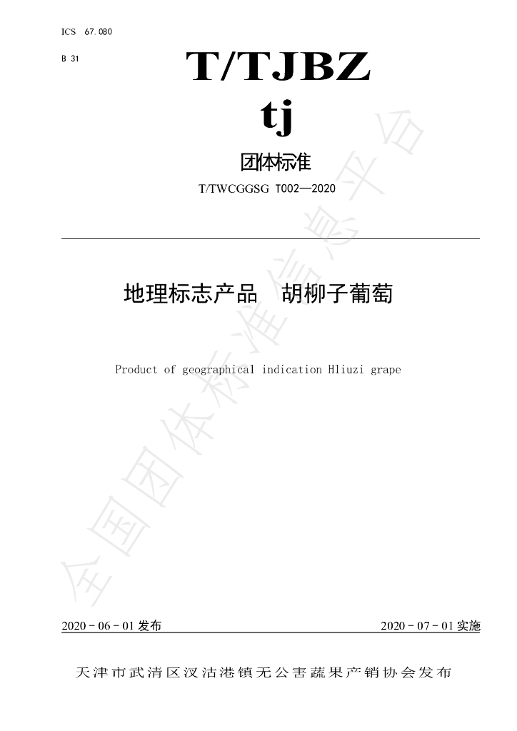 T/TWCGGSG 002-2020 标准预览