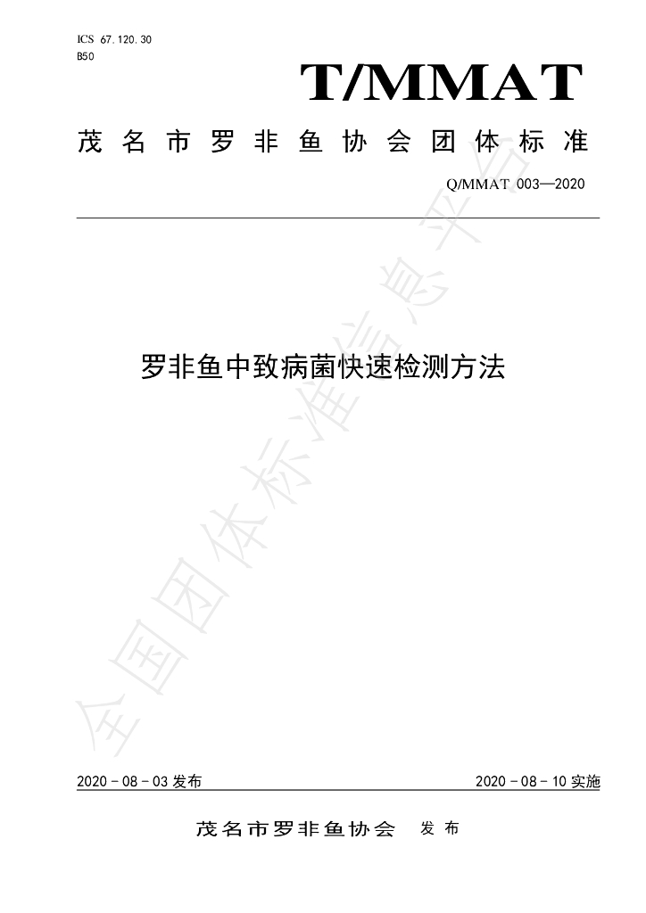 T/MMAT 003-2020 标准预览