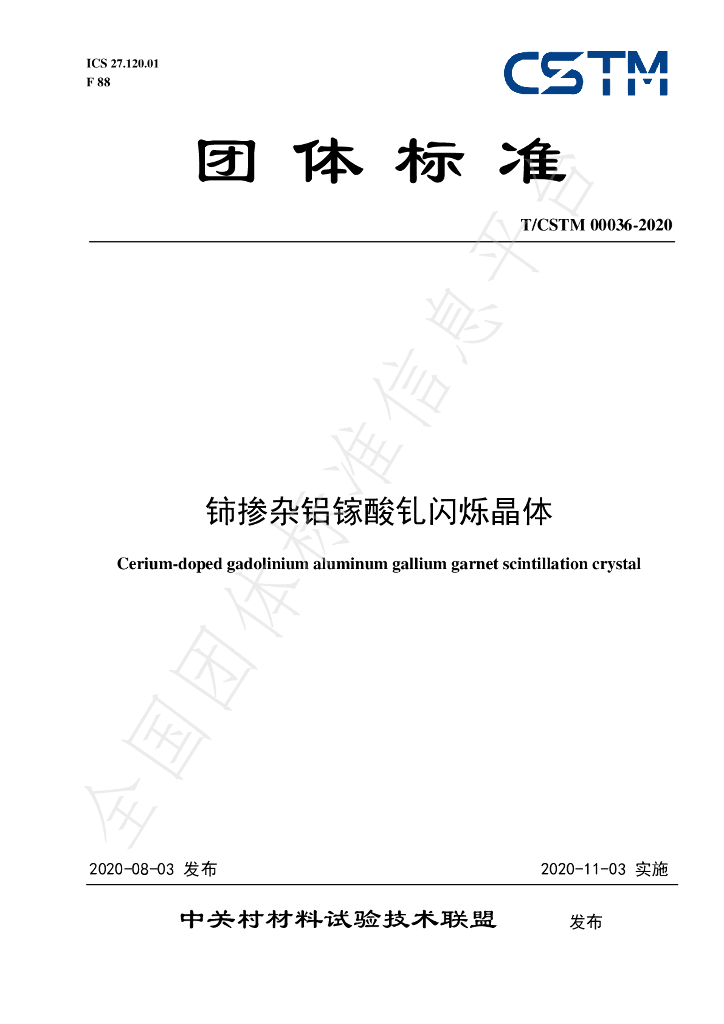 T/CSTM 00036-2020 标准预览