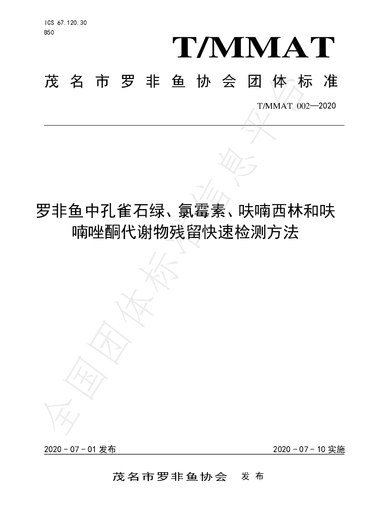 T/MMAT 002-2020 标准预览