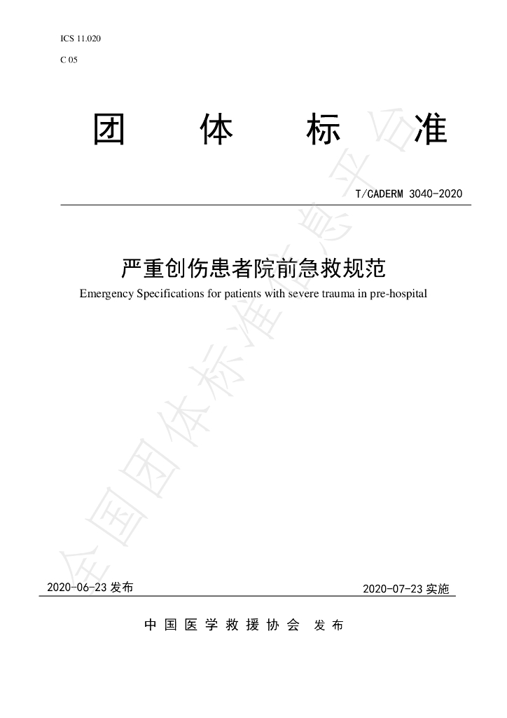 T/CADERM 3040-2020 标准预览