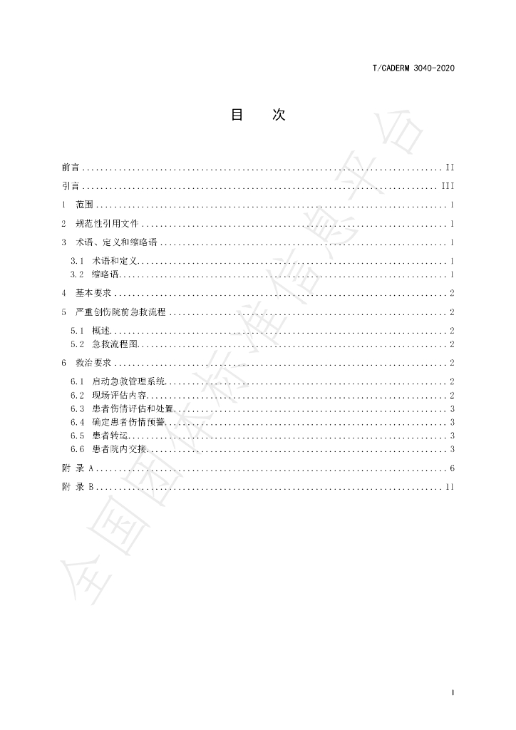 T/CADERM 3040-2020 标准预览