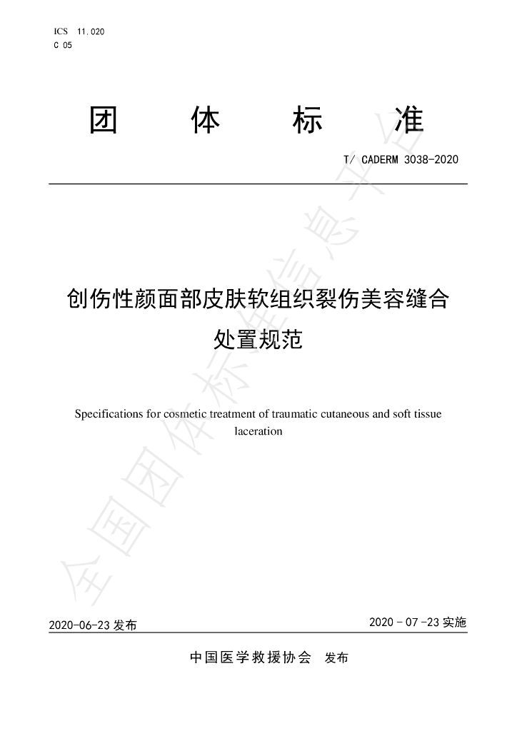 T/CADERM 3038-2020 标准预览
