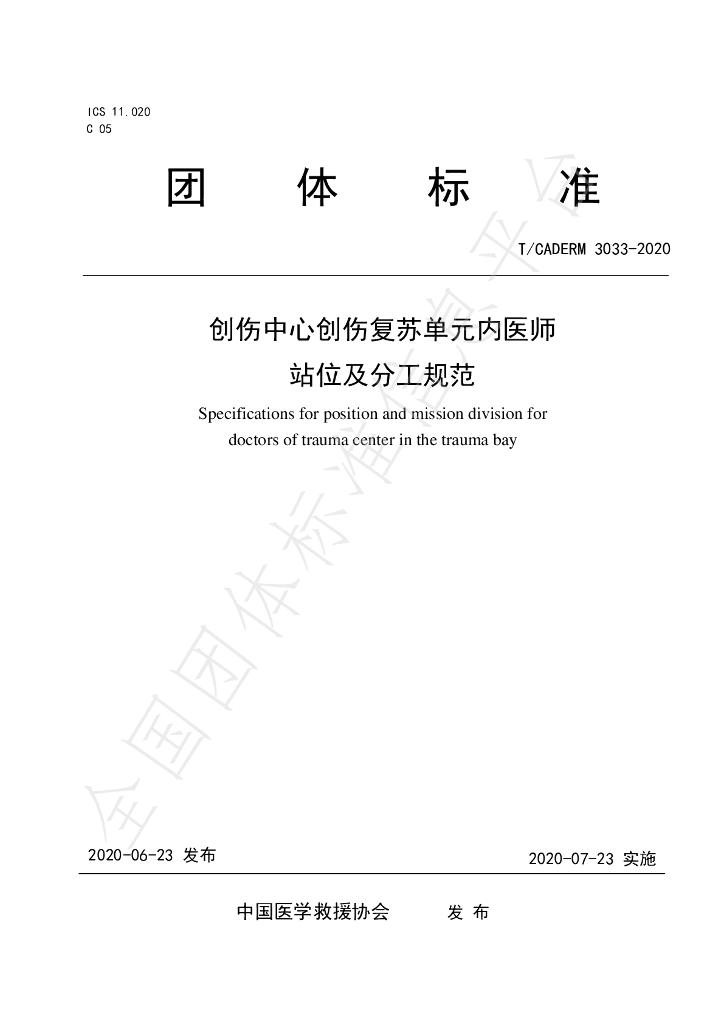 T/CADERM 3033-2020 标准预览