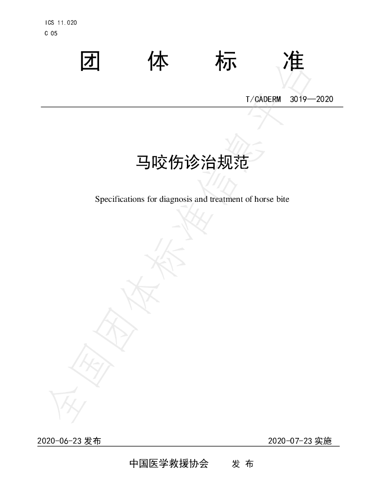 T/CADERM 3019-2020 标准预览