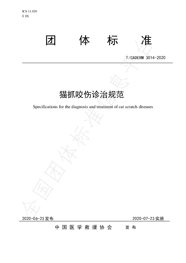 T/CADERM 3014-2020 标准预览