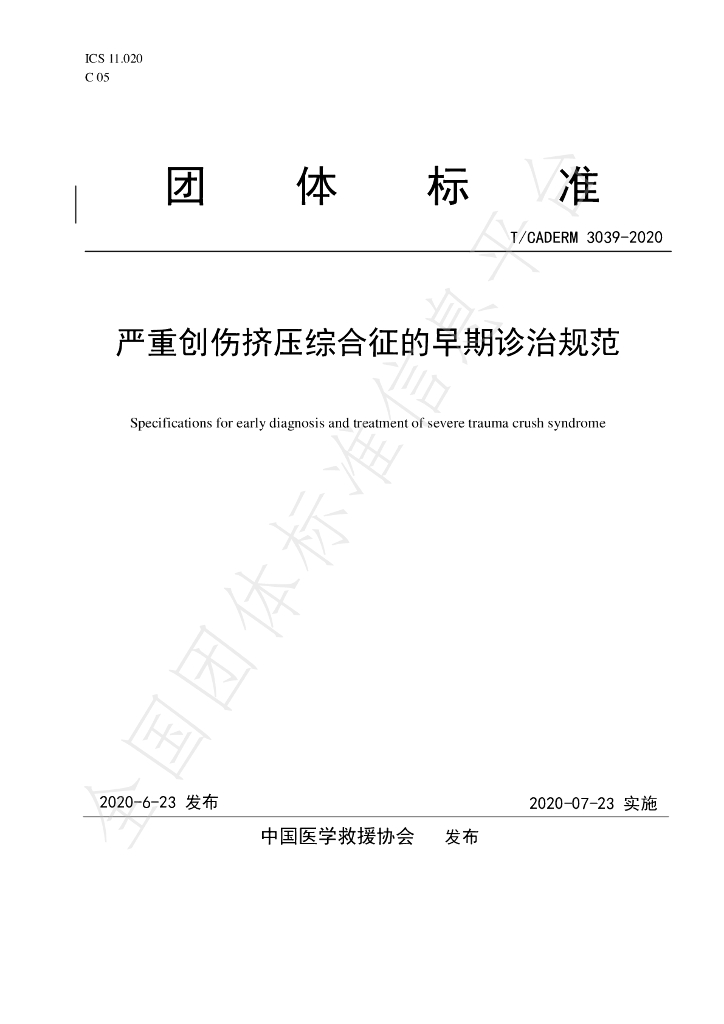 T/CADERM 3039-2020 标准预览