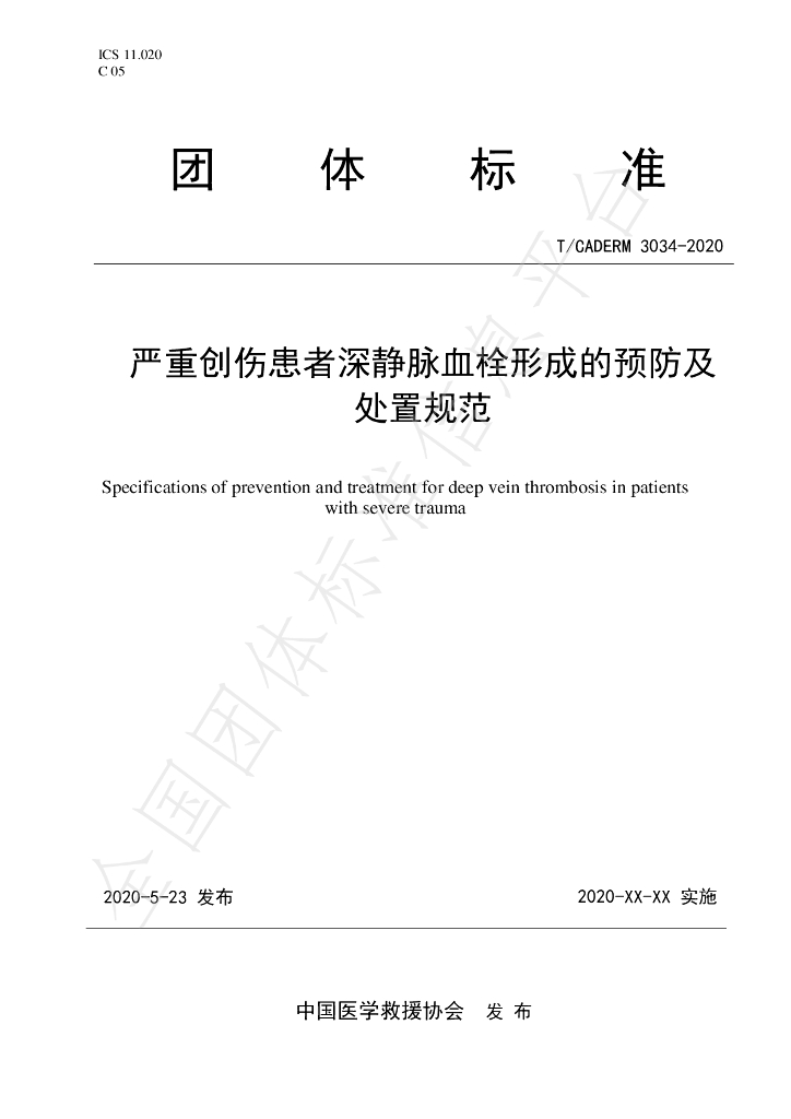 T/CADERM 3034-2020 标准预览