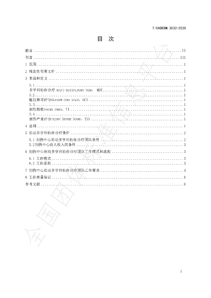 T/CADERM 3032-2020 标准预览