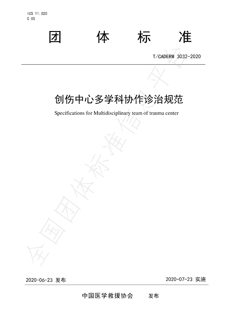 T/CADERM 3032-2020 标准预览