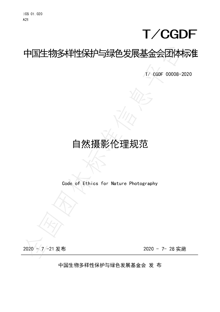 T/CGDF 00008-2020 标准预览