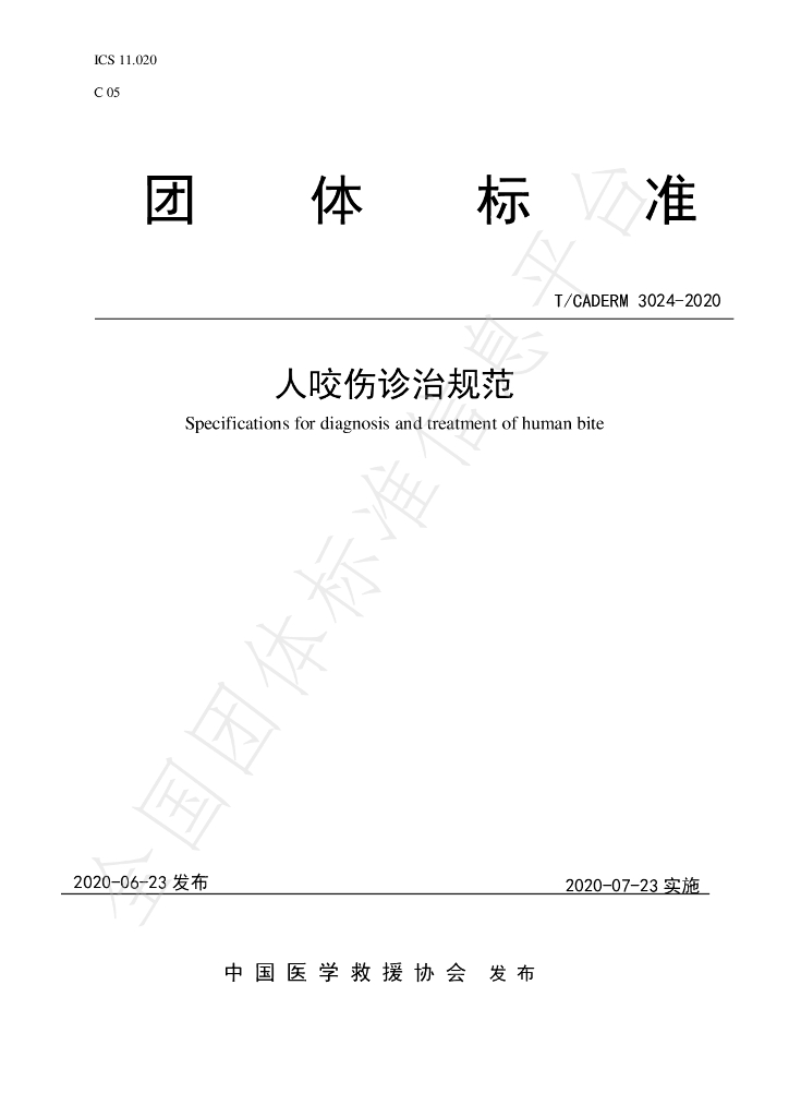 T/CADERM 3024-2020 标准预览