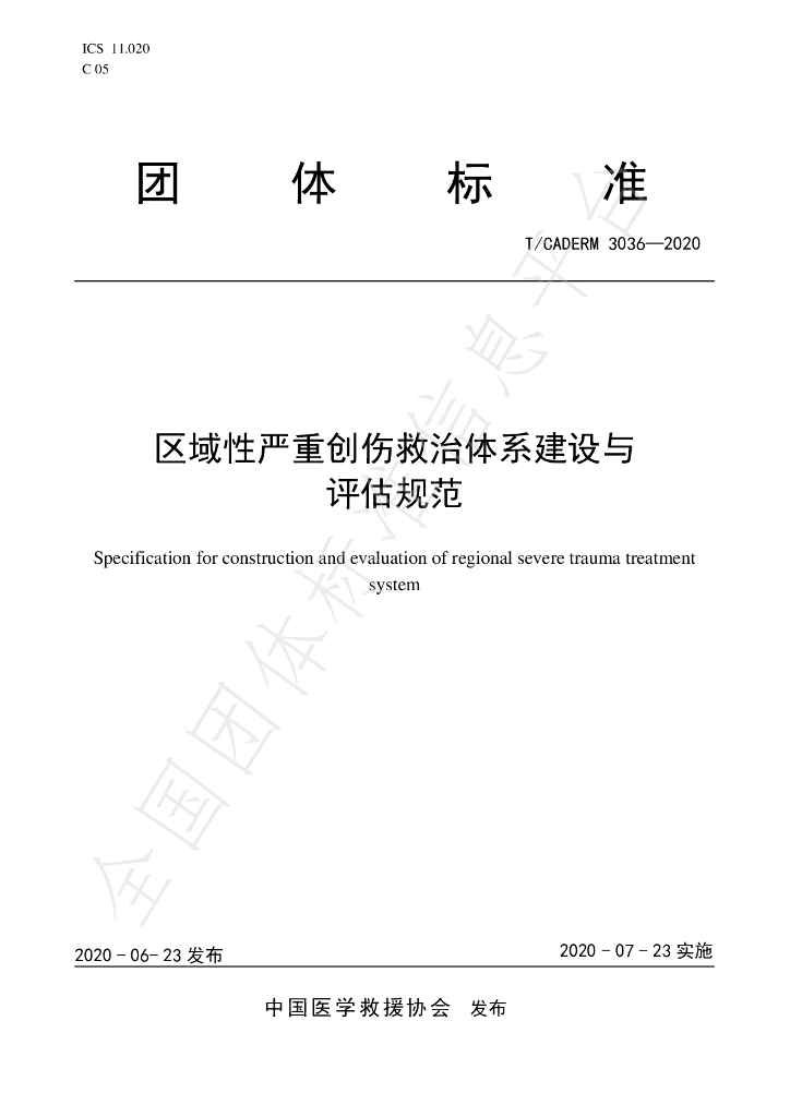 T/CADERM 3036-2020 标准预览