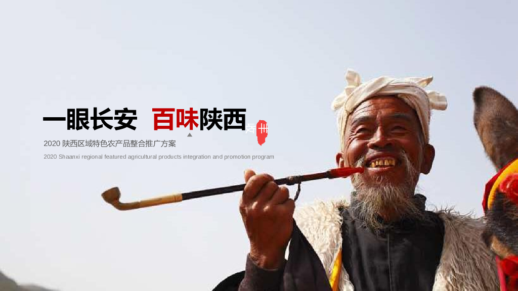 陕西区域特色农产品“一眼长安 百味陕西”整合推广方案
