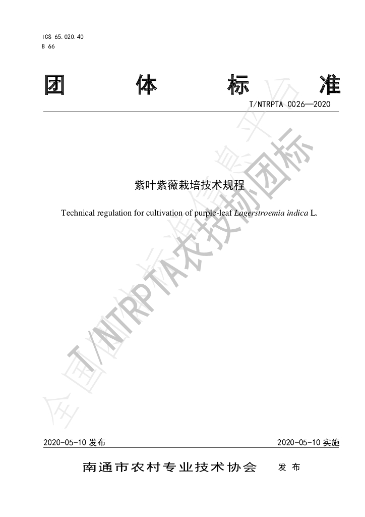 T/NTRPTA 0026-2020 标准预览