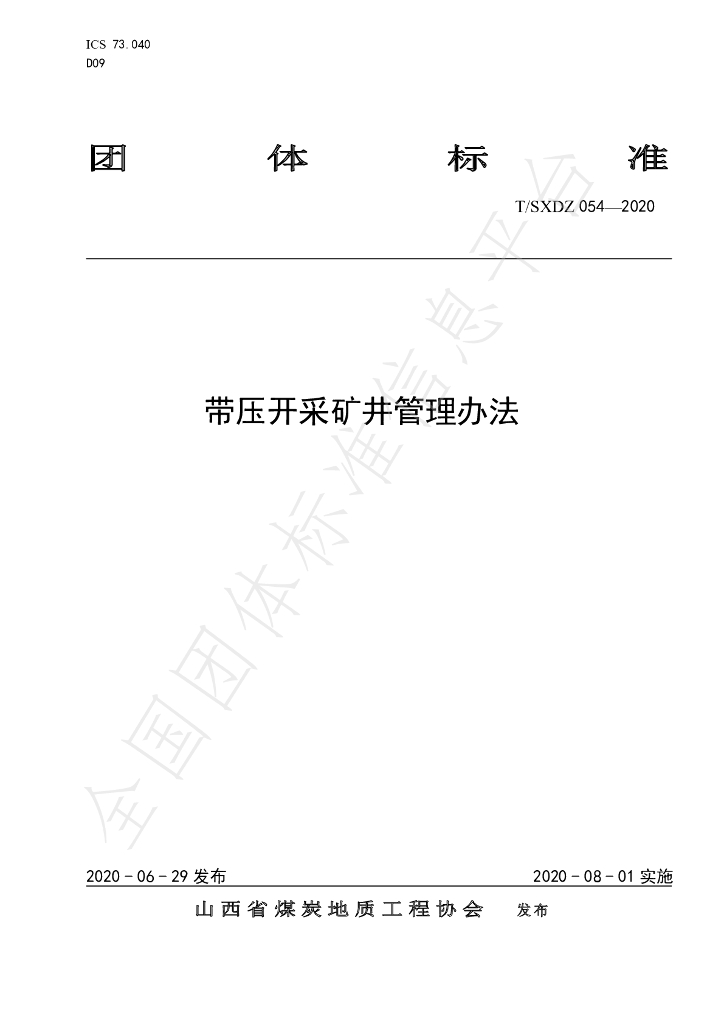 T/SXDZ 054-2020 标准预览