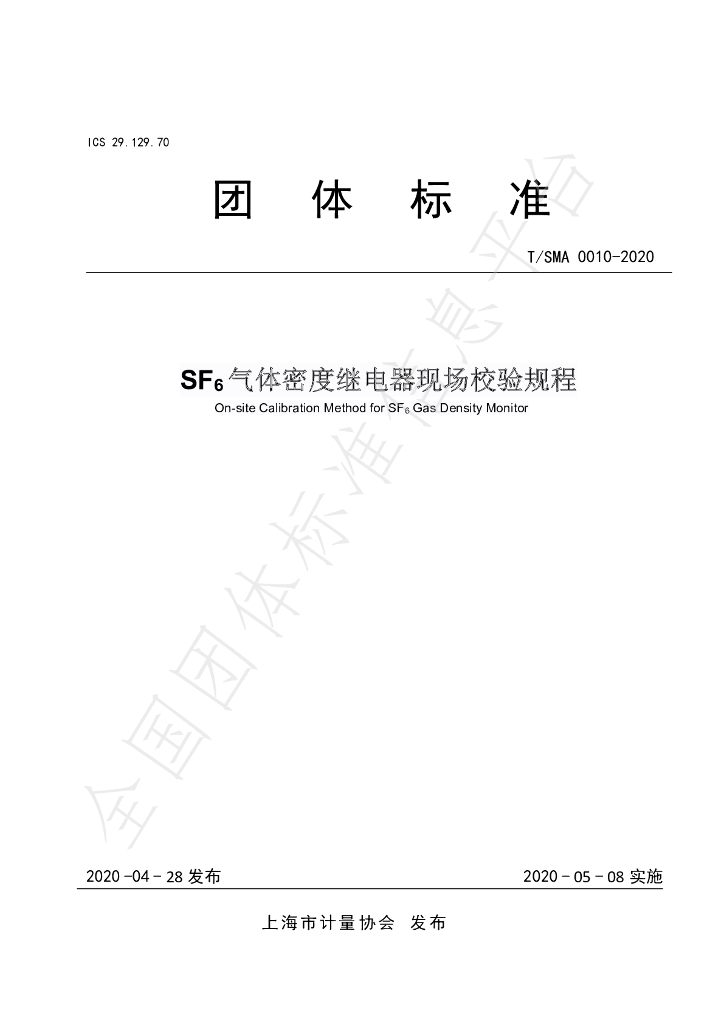 T/SMA 0010-2020 标准预览