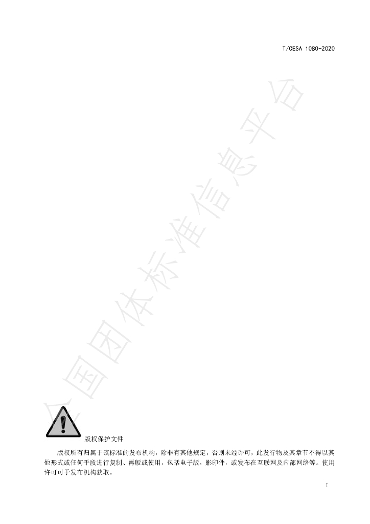 T/CESA 1080-2020 标准预览