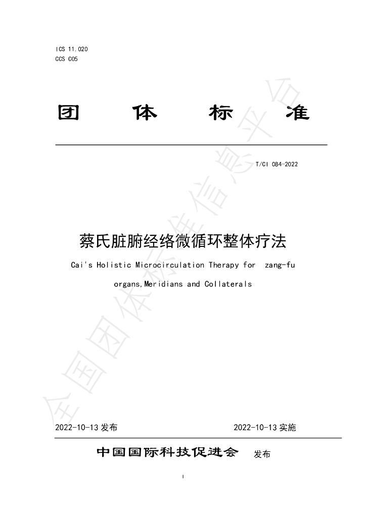 T/CI 084-2022 标准预览
