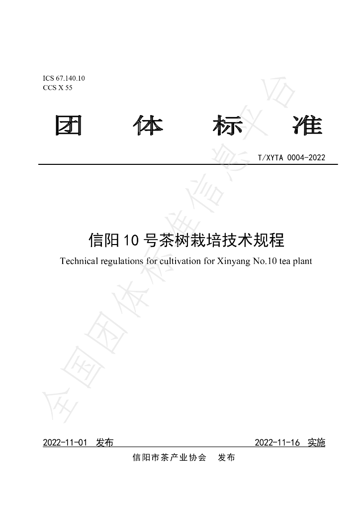 T/XYTA 0004-2022 标准预览