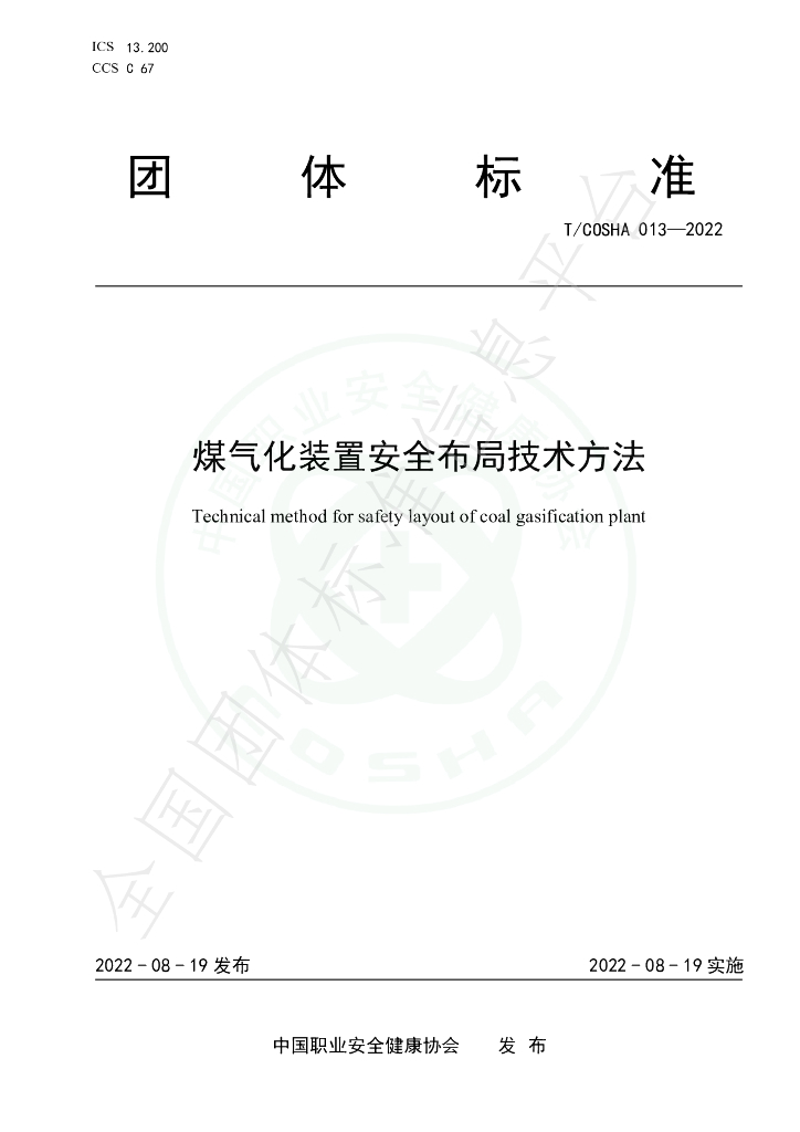 T/COSHA 013-2022 标准预览