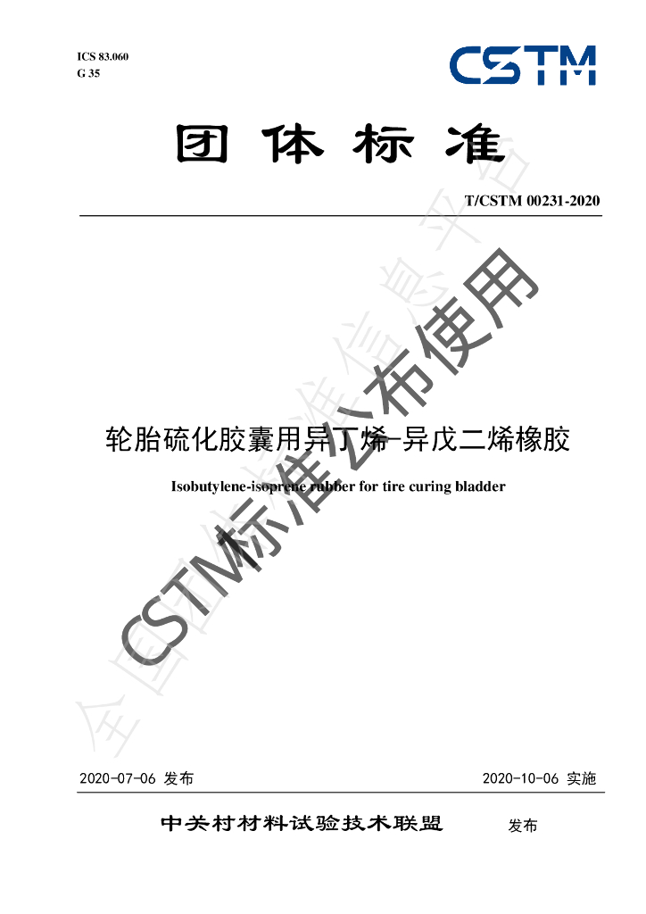 T/CSTM 00231-2020 标准预览
