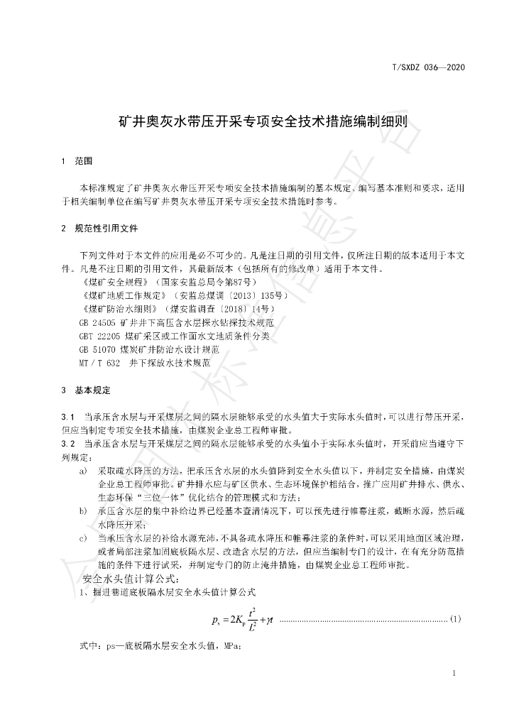 T/SXDZ 036-2020 标准预览
