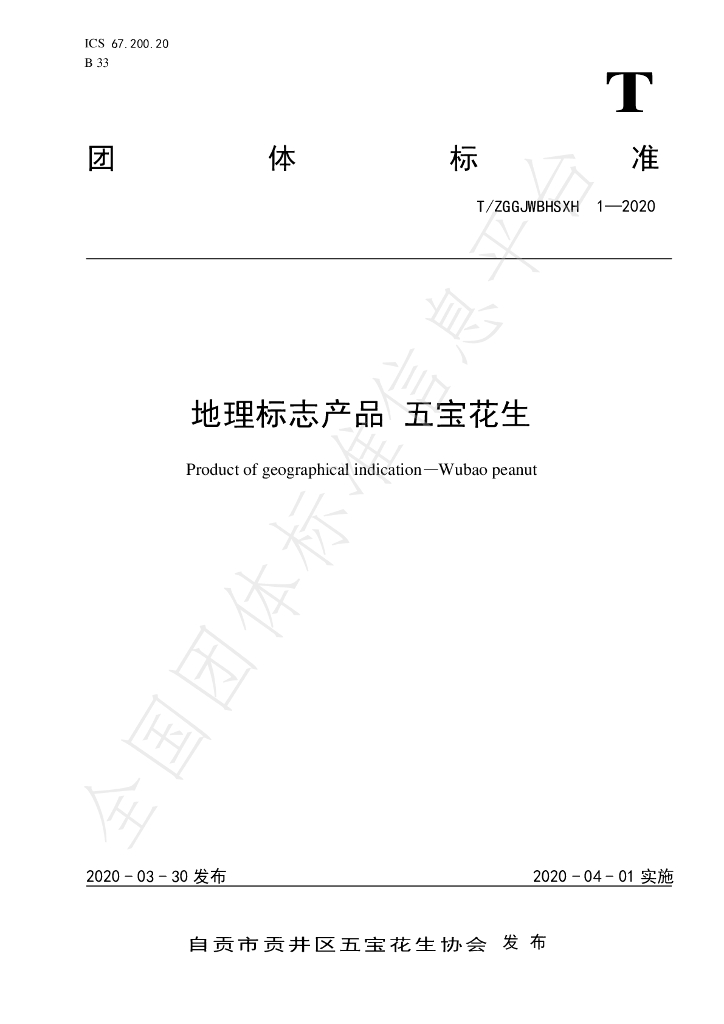 T/ZGGJWBHSXH 1-2020 标准预览