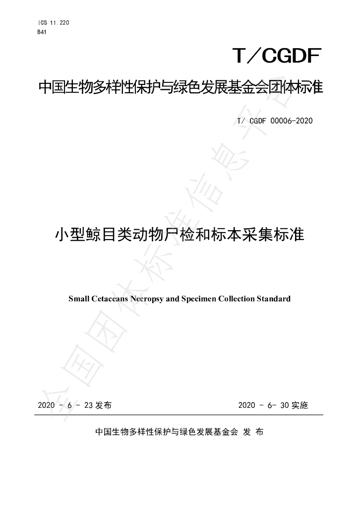 T/CGDF 00006-2020 标准预览
