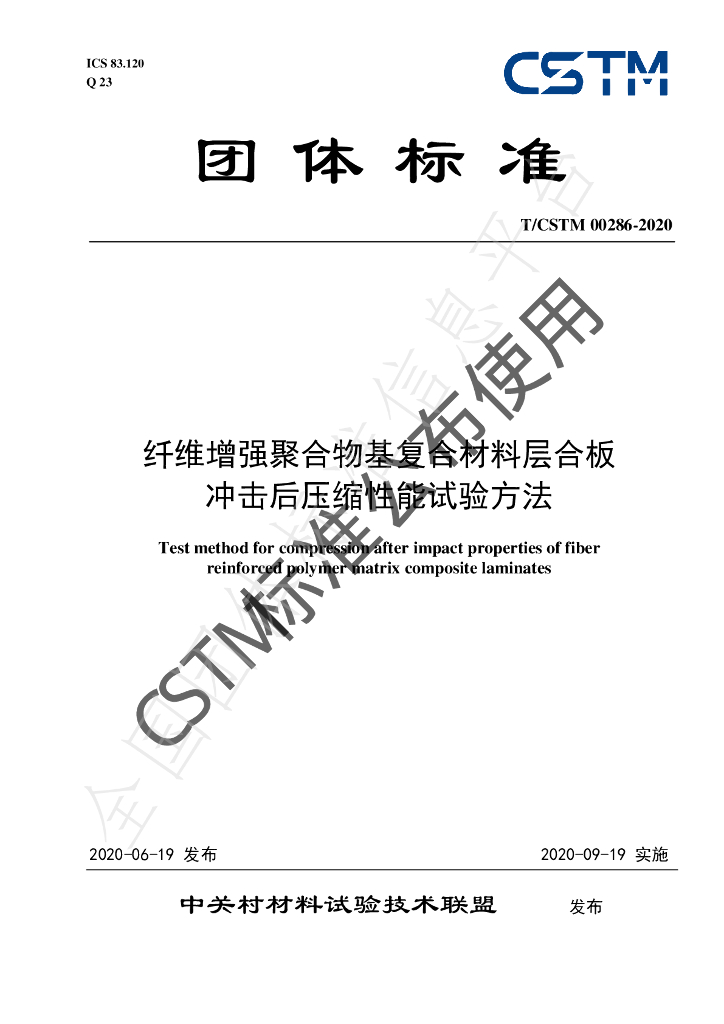 T/CSTM 00286-2020 标准预览