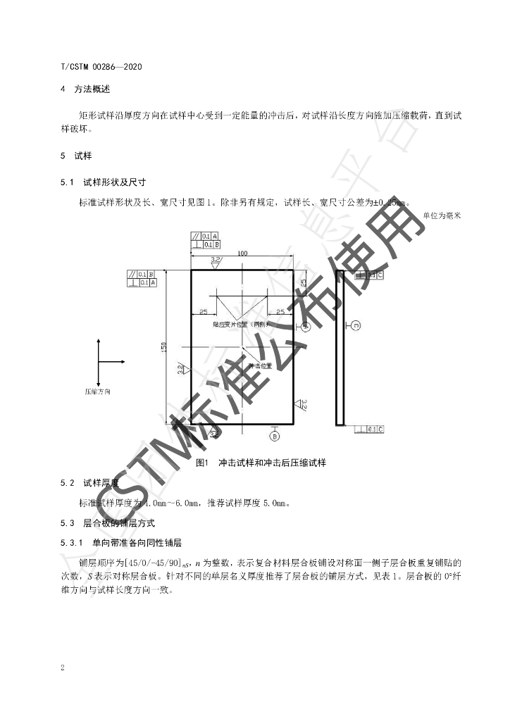 T/CSTM 00286-2020 标准预览