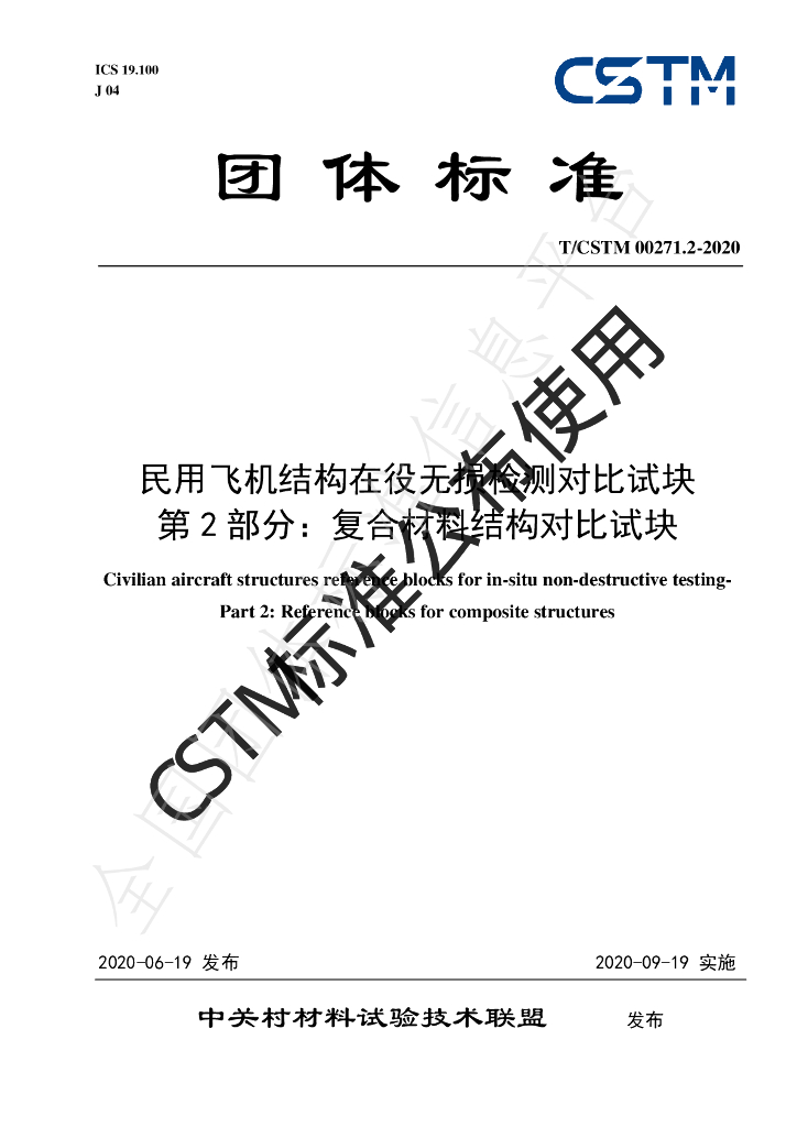 T/CSTM 00271.2-2020 标准预览