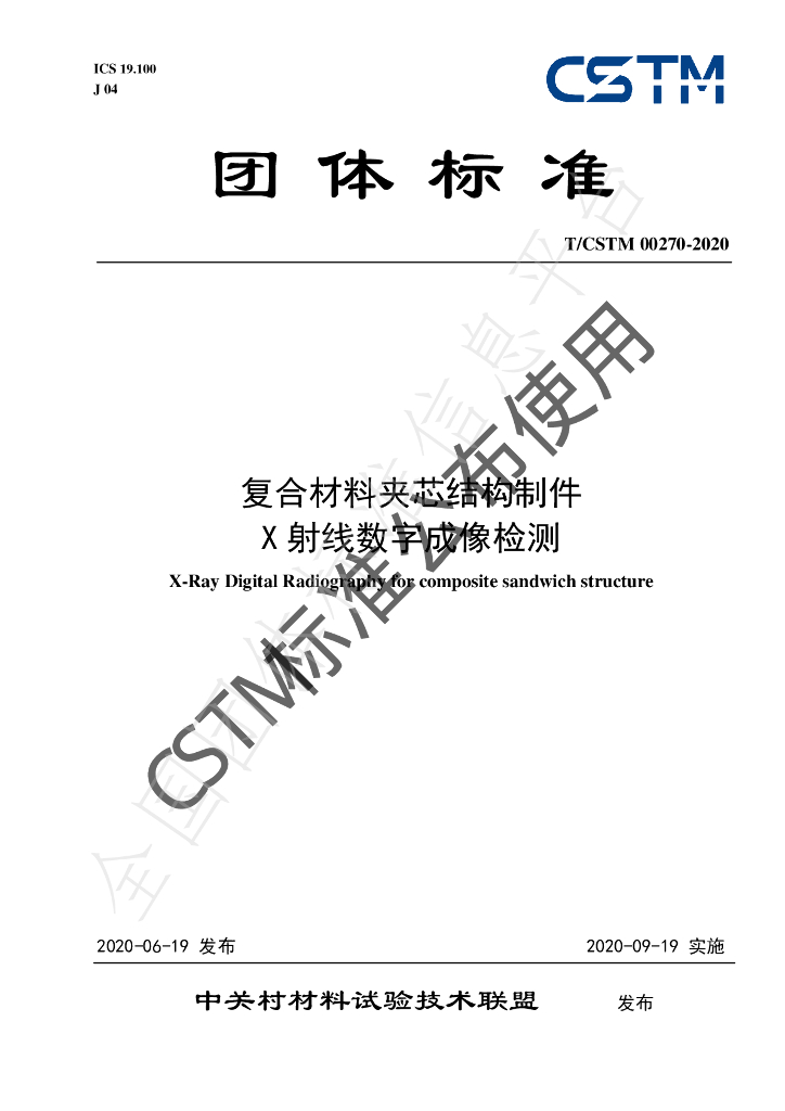 T/CSTM 00270-2020 标准预览